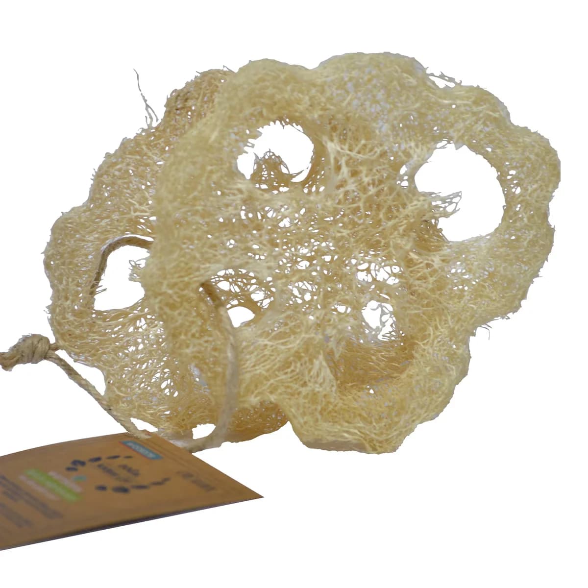 Creamol Sponge Natural Pumpkin Fiber