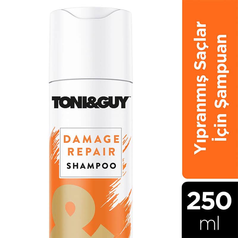 Toni Guy شامبو توني جاي للشعر الجاف والتالف 250 مل - 3