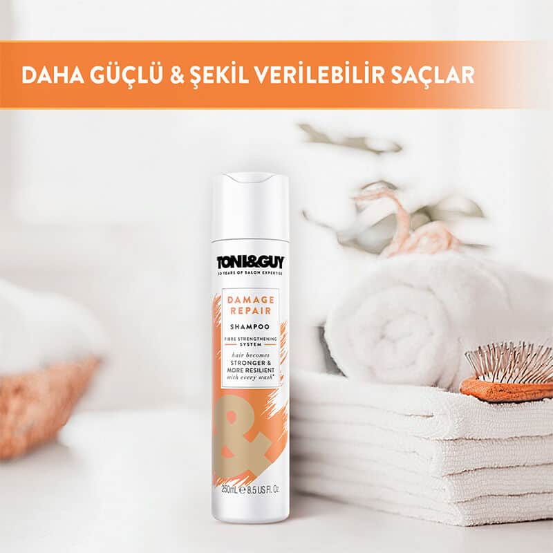 Toni Guy شامبو توني جاي للشعر الجاف والتالف 250 مل - 4