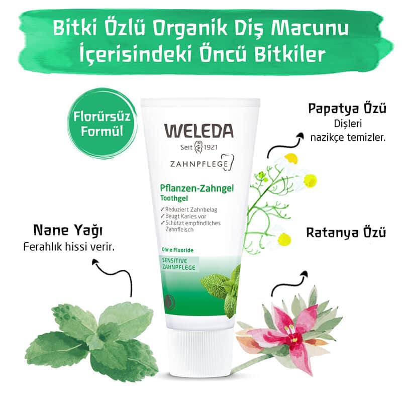 Weleda ู
ุนุฌูู ุฃุณูุงู ุนุถูู ุจุฎูุงุตุฉ ูุจุงุชูุฉ ู
ู ููููุฏุงุ 75 ู
ู - 4