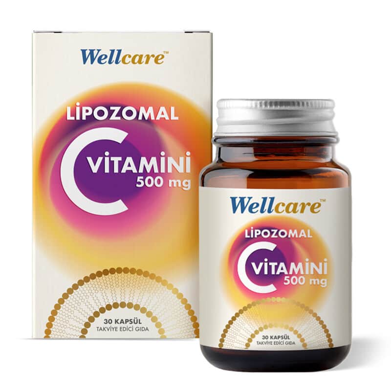 Wellcare ويلكير ليبوسومال فيتامين سي 500 ملغ 30 كبسولة