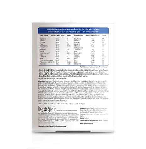 Vitabiotics Wellman Original 30 Tabletten