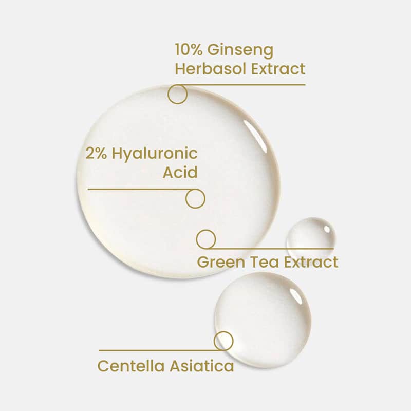 Cosmogenesis Labs Refreshing Ginseng Serum 30 ml - 2
