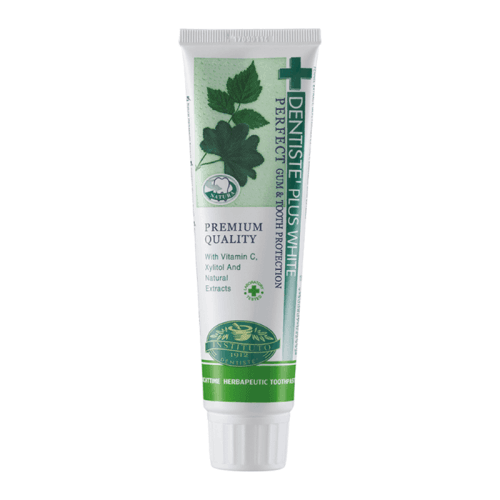 Dentiste Plus White Before Sleep Toothpaste 100 gr.
