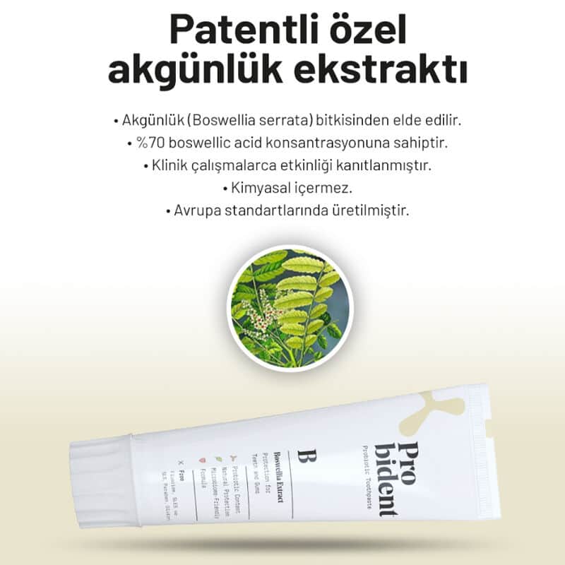 Probident Botanical Extract Toothpaste 75 ml - 4