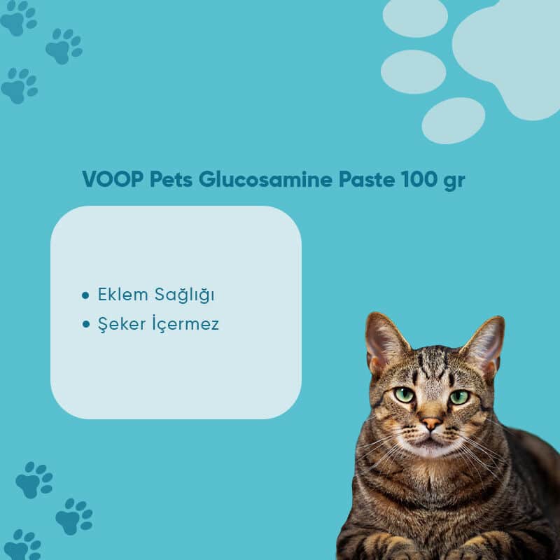 Voop Pet Joint And Muscle Support Malt Paste For Cats 100 gr - 2