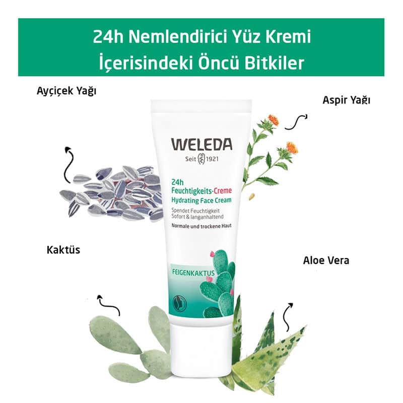 Weleda Cactus 24 h Moisturizing Face Cream 30 ml - 4