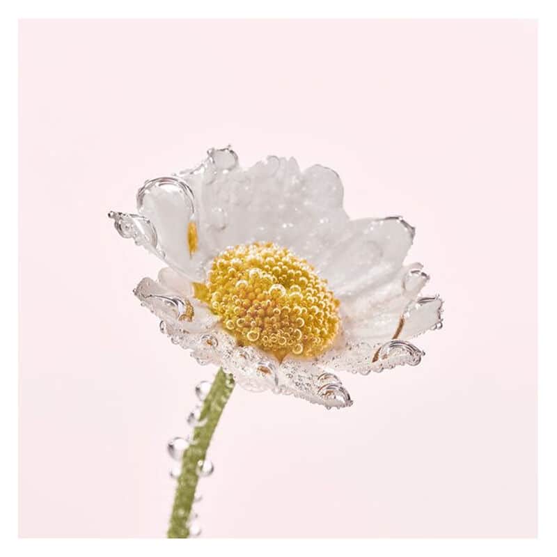 Yves Rocher Pure Camomile Face Wash Make-up Remover Oil 150 ml - 4