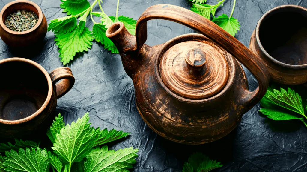 Benefits of Nettle
