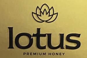 Lotus/لوتس